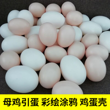 假鸡蛋 母鸡引蛋仿真鸡蛋鸭蛋儿童过家家幼儿园绘画DIY玩具鸡蛋壳