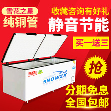 雪花之星1088卧式商用铜管大冰柜冷柜冷藏冷冻柜单温双温冰柜雪柜