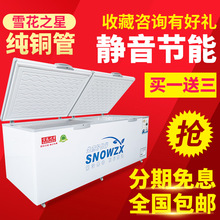 雪花之星1088卧式商用铜管大冰柜冷柜冷藏冷冻柜单温双温冰柜雪柜