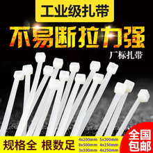 自锁式尼龙扎带卡扣大号强力塑料束线带5 300 200mm黑色 8×500
