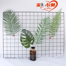 饰龟背叶绿植墙上壁饰拍照摄影道具 ins创意北欧风仿真树叶家居装