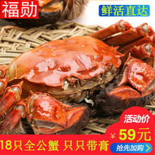 福勋现货大闸蟹新鲜小螃蟹鲜活河蟹全公蟹无公水产18只装特大海鲜