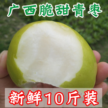 包邮 10斤带箱小个青枣牛奶枣脆甜苹果枣水果 现摘广西大青枣新鲜