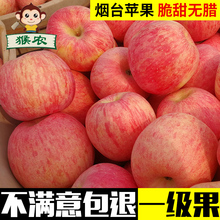 猴农 烟台苹果水果新鲜不打蜡栖霞特产红富士20斤90mm大果
