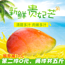 2.5斤当季采摘 包邮 香甜爆汁新鲜水果芒果批发 百色芒果贵妃芒果