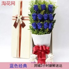 11朵红玫瑰鲜花速递新疆昌吉昌吉市阜康市同城花店送花上门