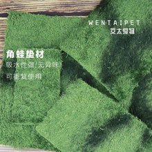 天然希瑾莫斯雨林爬虫地毯陆龟垫材爬宠蛇守宫鬃狮森林地垫材