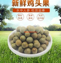 包邮 新鲜天趣 鸡头果全国 2018滁州特产天长龙岗芡实二青二级