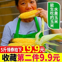 水果玉米新鲜云南即食生吃甜脆糯玉米现摘现发黏玉米新鲜5斤包邮