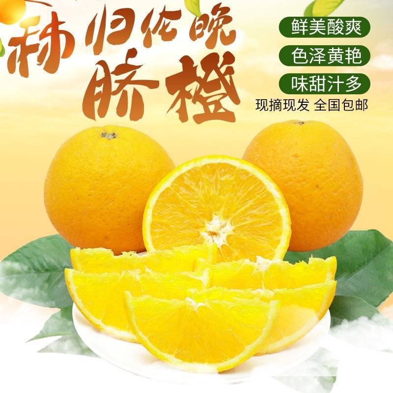 湖北长阳清江伦晚秭归脐橙春橙新鲜水果甜橙孕妇吃的橙子大个脐橙 - 小轩窗