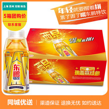 东鹏特饮维生素功能饮料500ML*24瓶整箱 多省包邮