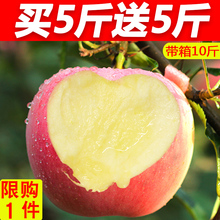 包邮 苹果水果10斤当季新鲜水果红富士苹果野生糖心丑苹果带箱批发