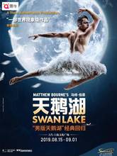 上汽文化中心演出票马修伯恩芭蕾舞剧 演出门票 天鹅湖 上海