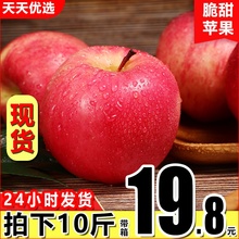 嘎啦苹果新鲜当季水果丑苹果整带箱批10斤包邮应季冰糖心红富士5