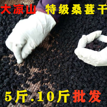 桑葚干泡水即食泡酒熬膏 桑椹干5斤散装 整箱 大凉山桑甚干10斤装