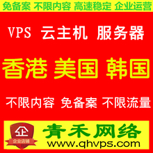 独立IP香港高防VPS 云服务器租用虚拟主机美国韩国站群挂机宝月付