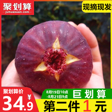 当季无花果新鲜红皮大果应季孕妇水果非青皮无花果干 包邮 空运