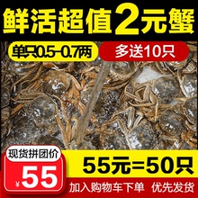 二元大闸蟹鲜活2元小蟹0.5-0.7两香辣蟹毛蟹小河蟹一元小螃蟹醉蟹