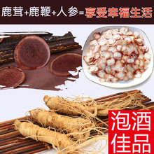 梅花鹿茸片非整枝人参鹿鞭片长白山保鲜人参泡酒料野山参新鲜100g