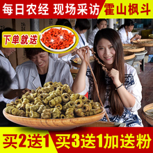 野生 铁皮石斛枫斗霍山铁皮石斛粉鲜条米斛干条礼盒装 道地养生