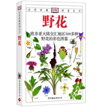 野菜野外识别速查图鉴工具书原野漫步野花野菜野果图鉴500种 自然珍藏图鉴丛书:野花 库存尾品 欧非亚大陆交汇地区500多种 包邮