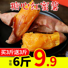 带箱6斤红薯新鲜番薯地瓜沙地10板栗5紫六鳌红蜜薯蜜薯糖心小蕃薯