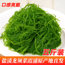 新鲜海菜凉拌龙须菜海藻火锅凉拌菜柳丝龙须草鹿角菜 龙须菜5斤装