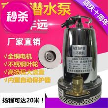 直流潜水泵电动车灌溉家用农用水井抽水机12V24V48V60V高扬程