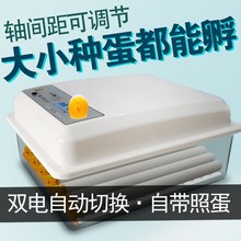 新伟达孵化机全自动小型家用型水床孵蛋器孔雀鸭鹅家用鸡蛋孵化器