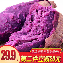 第二件10元 新鲜紫薯现挖番薯香非天目山地瓜红薯紫薯5斤小果