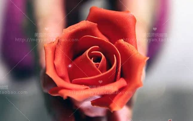 英式糖花硅胶压模玫瑰花大号纹路卷纹夹模立体印花模翻糖花瓣模具 英式糖花硅胶压模玫瑰花大号纹路卷纹夹模立体印花模翻糖花瓣模具