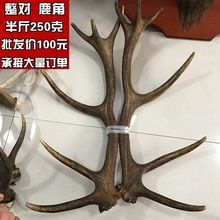 250克 原料 包邮 半斤 鹿角