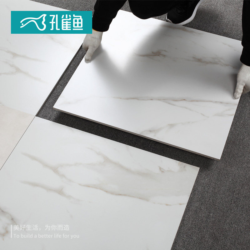 ��ȸ�������˴���ʯ��ʿ�״�ש6709