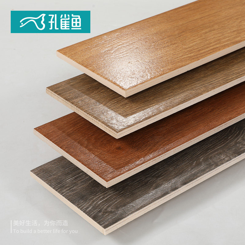 ��ȸ��������ľ��ש95101