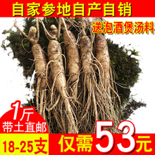 人参带土鲜人参1斤长白山泡酒煲汤人参新鲜人参东北人参500g 包邮