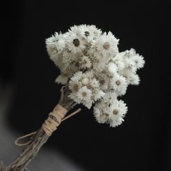 进口岩石花小花束高档民宿软装插花配饰ins风文艺小清新永生干花