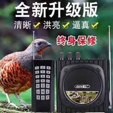 户外教鸟学叫 爱歌Q92捉抓电媒机远程遥控电媒引鸡神器 电煤 鸡媒