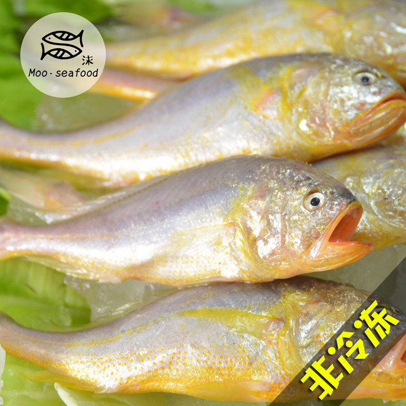 新鲜梅童鱼图片,区别,梅童鱼图片(第7页)_大山谷图库
