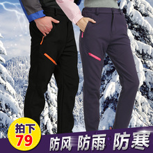 男软壳抓绒长裤 女弹力休闲冬季加厚保暖防水登山滑雪裤 户外冲锋裤