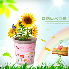 自动吸水diy儿童种植创意可爱迷你植物开心农场桌面小盆栽微景观