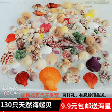 饰品寄居蟹 海螺贝壳海星空瓶材料包手工diy风铃打孔漂流瓶鱼缸装