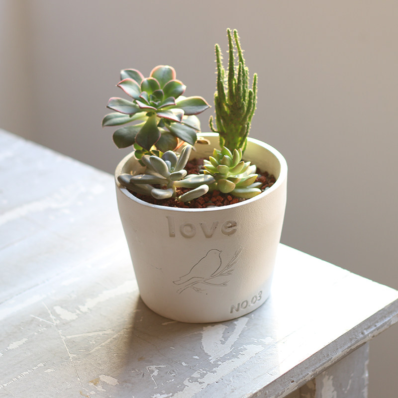 ���΢�������԰ڼ�R7A5J0