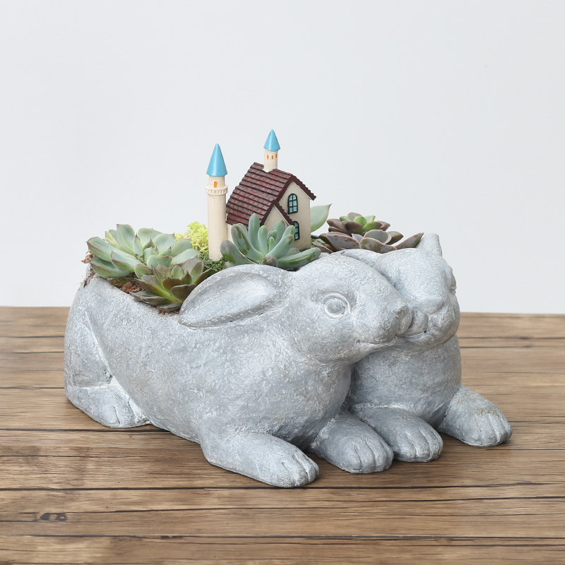 �������ֲ�ﻨ��R7A5M0