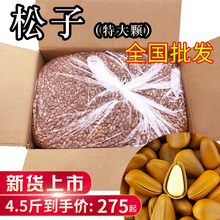 原味手拔特大开口红松子 特级坚果炒货 新货东北特大松子4.5斤散装