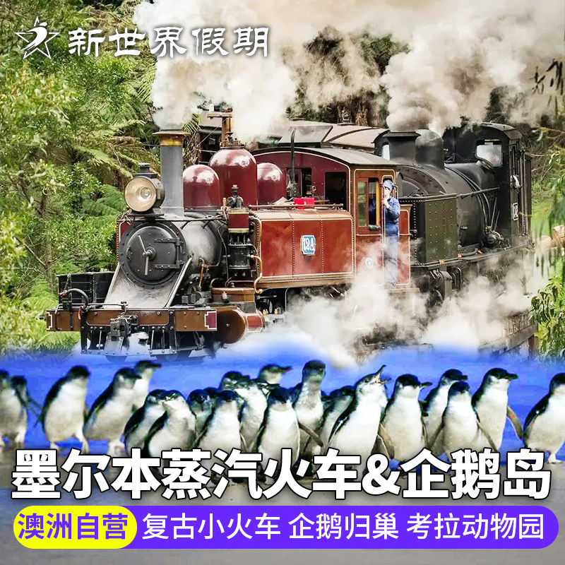 网红路线 澳洲旅游墨尔本普芬比利蒸汽小火车企鹅归巢中文一日游