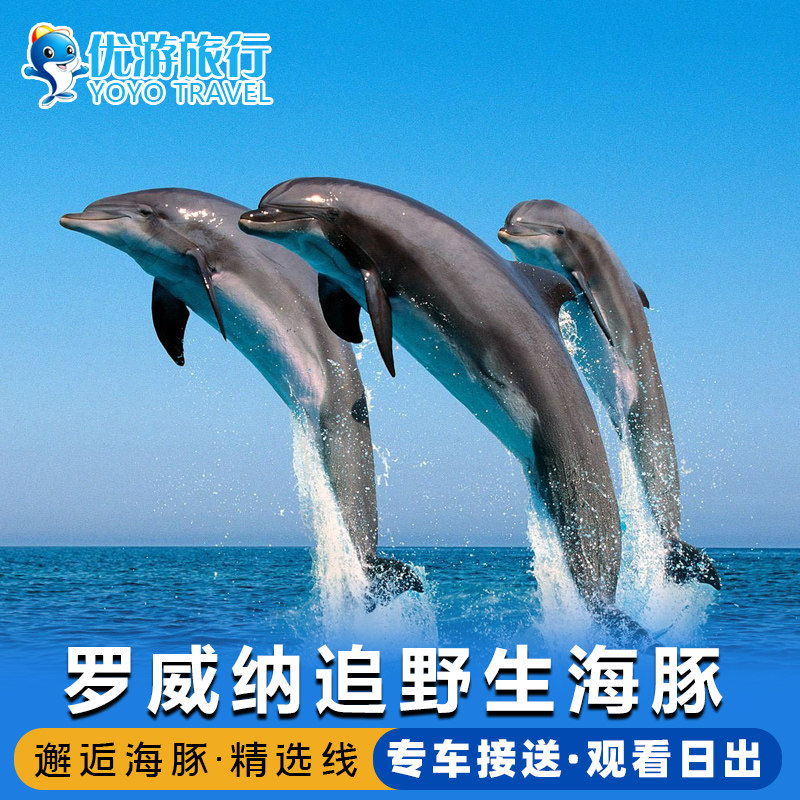 巴厘岛罗威纳追海豚看日出火山温泉越野车漂流滑翔伞spa一日游