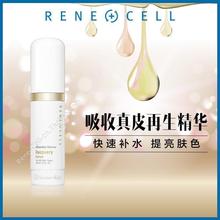 限时特价 Rene Cell 润妮秀韩国正品 干细胞吸收真皮再生精华素