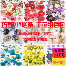 饰干花 干花真树叶植物标本幼儿园手工贴画干花压花DIY写真贴脸装