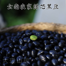 五谷杂粮 18年新货绿心青仁乌豆 云南大理农家绿芯黑豆 500克