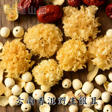 椴木小银耳雪耳白木耳糯耳 胜古田通江银耳 云南普洱纯正野生银耳